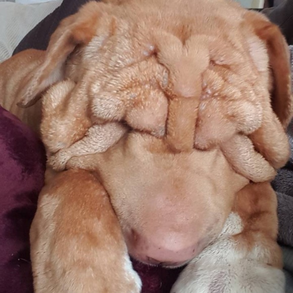 Meet your Posher, Kristen - Picture 5 of 7